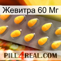 Жевитра 60 Мг cialis1